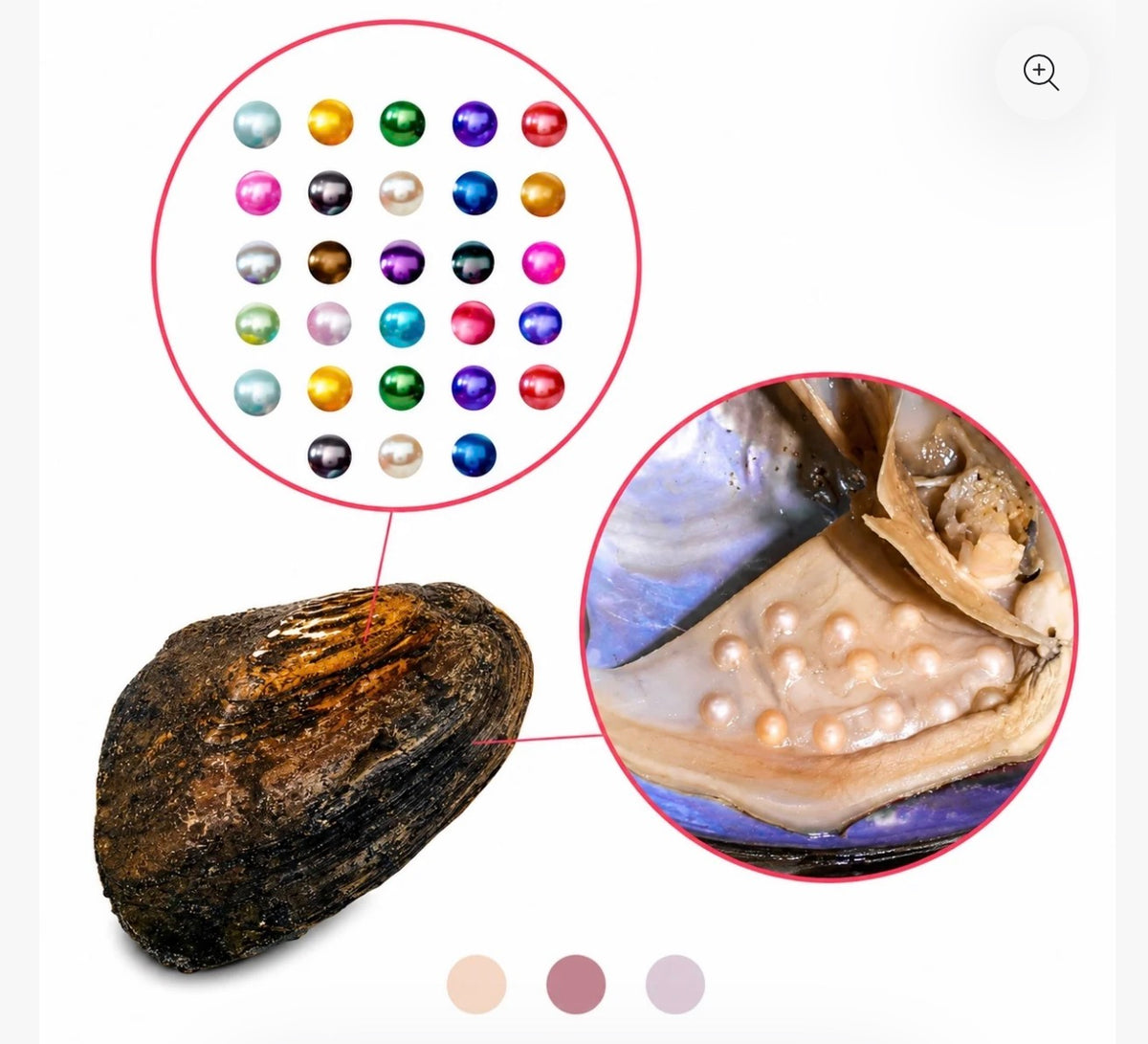 Mega Oyster